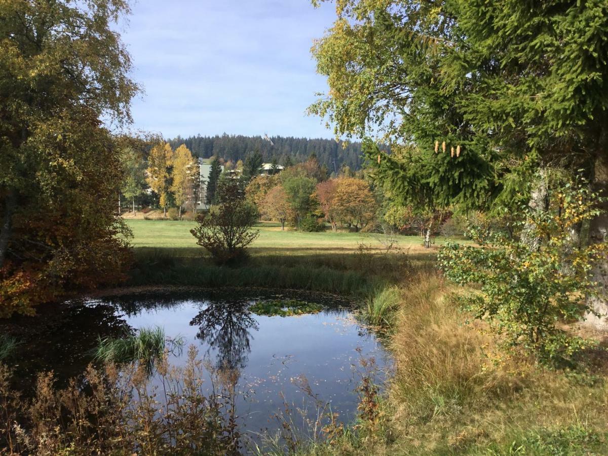 Gemuetliche 1Z Fewo In Schoenwald Mit Balkon, Schwimmbad, Sauna, Fitness Bagian luar foto